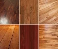 New Softwoods/Hardwoods